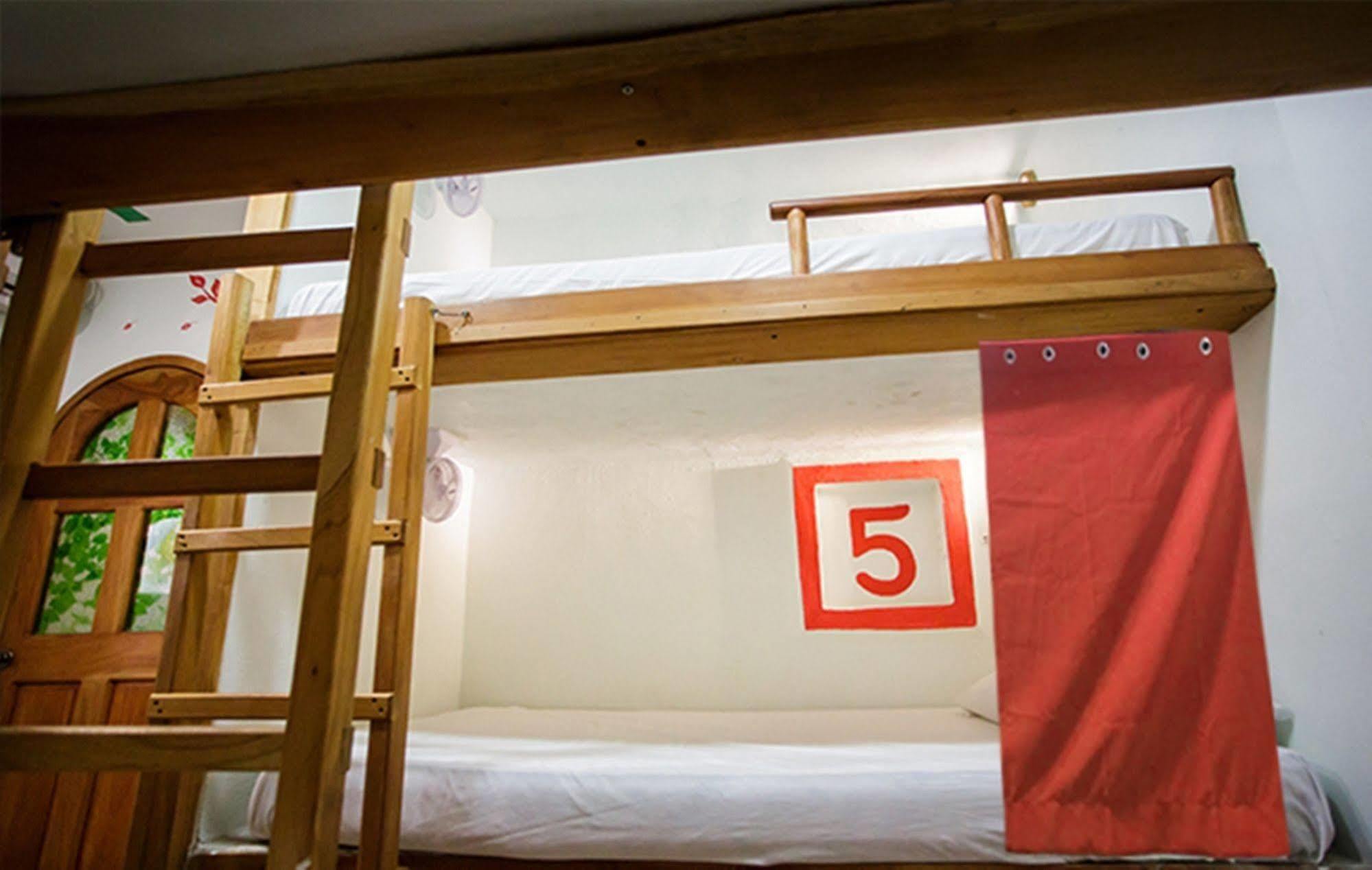 Hostel Natura Канкун Екстериор снимка